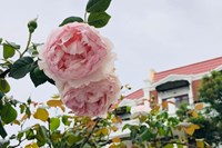 Khách Sạn Cát Cát Galerie D'Art Sapa